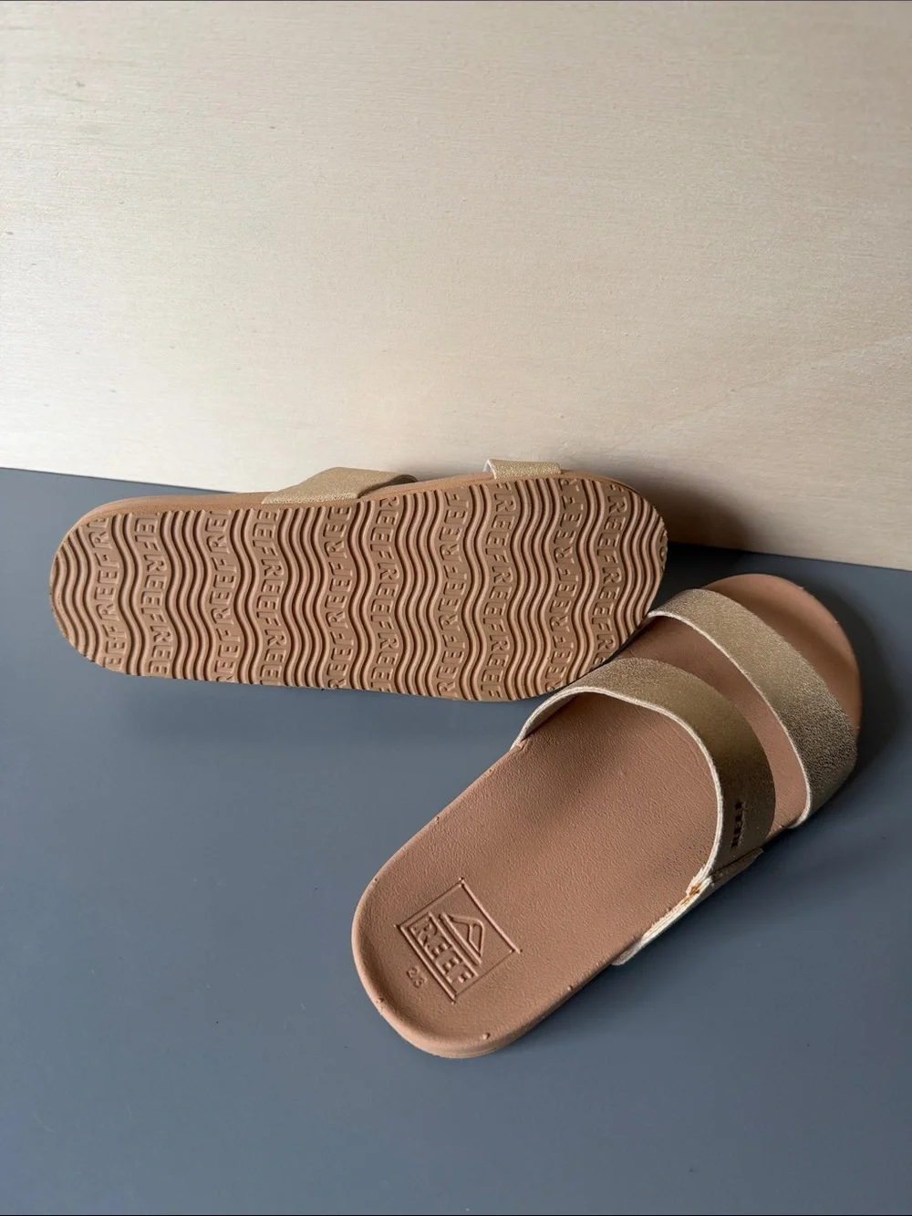 Reef kids slide